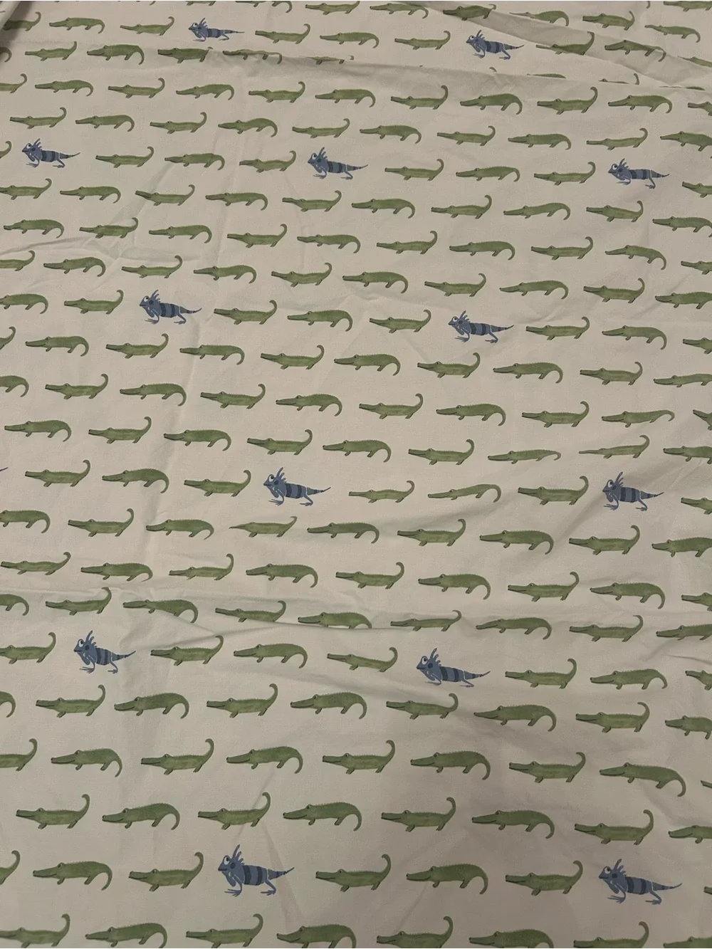 Pottery Barn Kids soft cotton